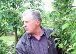 Януш Габрисяк демонструє результат хімічного проріджування зав'язі яблуні